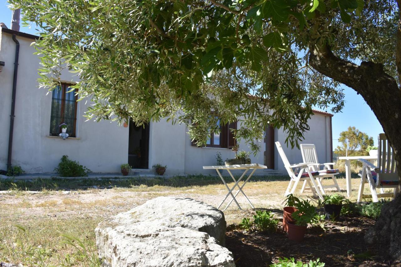 Su Cuile Historical Country House With Barbecue Martis エクステリア 写真