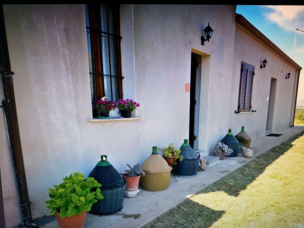 Su Cuile Historical Country House With Barbecue Martis エクステリア 写真